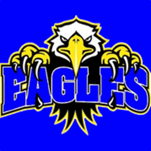 Stephenson Eagles logo