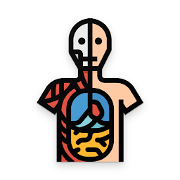 Learn Muscles Anatomy ikonjának képe
