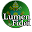 Encíclica Lumen Fidei Download on Windows