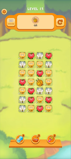 Cat Sort Color  Cat Puzzle