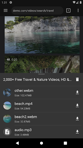 Video Downloader Pro Screen 2