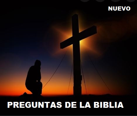 Android application Cuanto Sabes de la Biblia screenshort