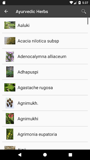 AyurWiki Screen 2