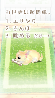 癒しの子犬育成ゲーム〜チワワ編〜のおすすめ画像2