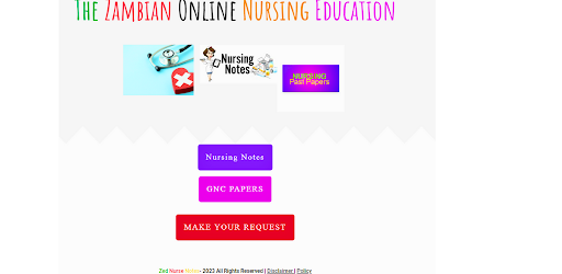 Zed Nurse Notes Screen 2