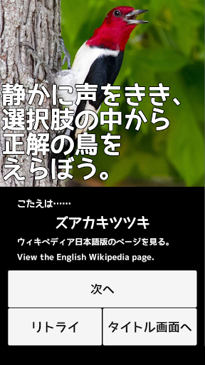 Android application さえずりクイズ　おうちで？　バードウォッチング screenshort
