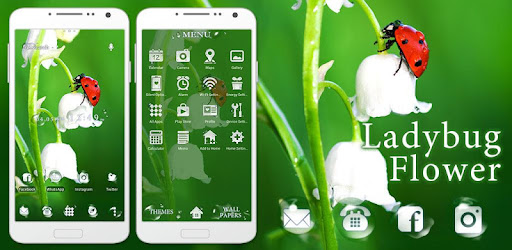 幸せを呼ぶ壁紙アイコン てんとう虫と鈴蘭 無料 Google Play のアプリ