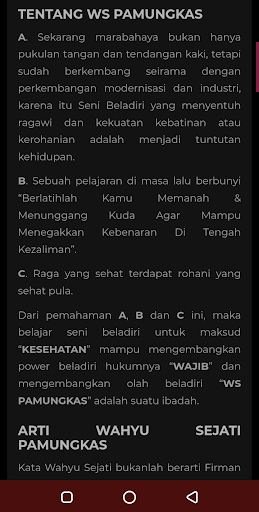 WS Pamungkas Screen 3