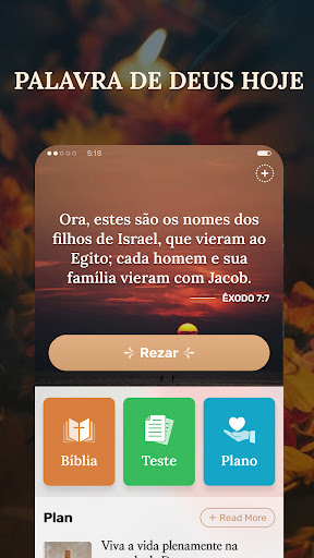 Visualização do aplicativo