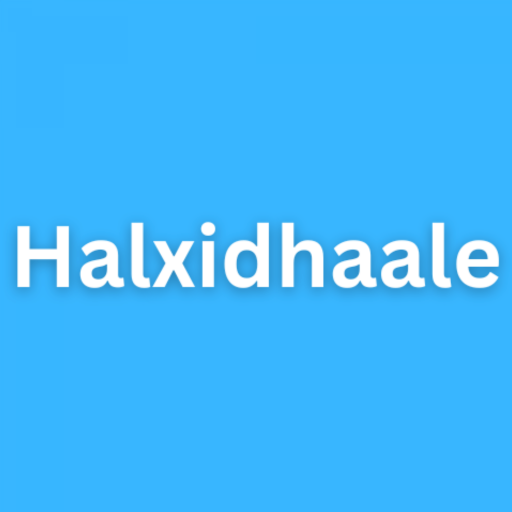Halxidhaale Somaliyeed logo