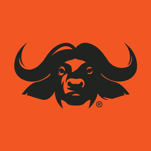 Safari Outdoor logo