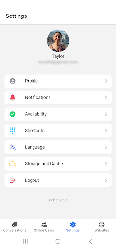 CVP Chat Screen 2