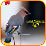 Cover Image of Download Good Morning 3D Images 11.0 APK