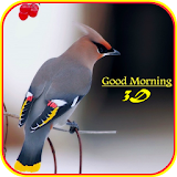 Good Morning 3D Images icon