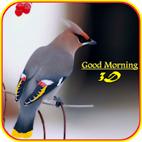 Good Morning 3D Images
