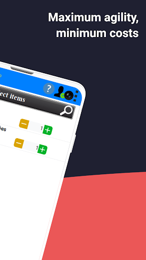 AccIn POS Screen 2