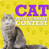 Cute Cat Pictures Contest & Photo editor icon