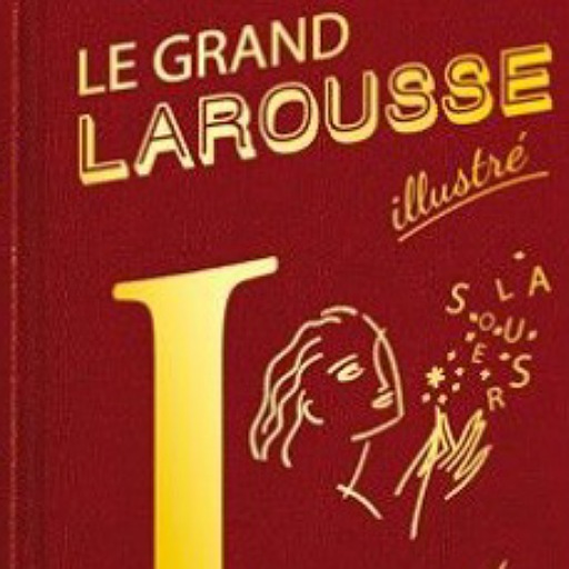 Larousse Dictionnaire Français
