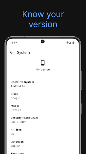 Screenshot of System information