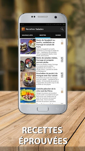 Recettes Salades Screen 2