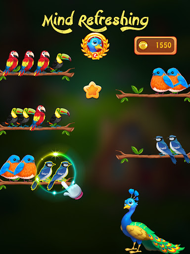 Bird Color Sort Puzzle Screen 3