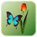 蝶タップ - Androidアプリ
