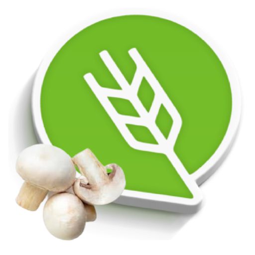 मशरूम लागवड #Agrownet™ logo