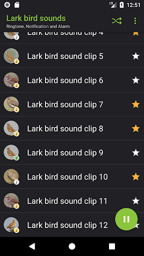 Lark bird sounds Screen 3