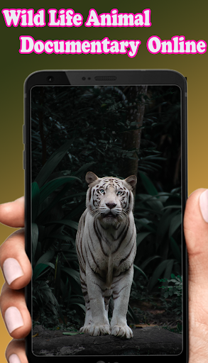 Android application Wild Animal Documtery Online screenshort