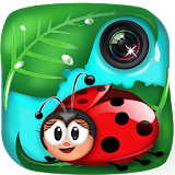 Cool Pic Frames Ladybugs icon