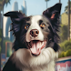 Border Collie Simulator - Androidアプリ