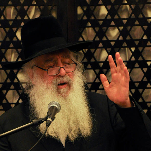 Rabbi David Pinto logo