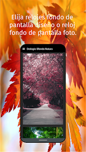 Imagen de la captura de pantalla