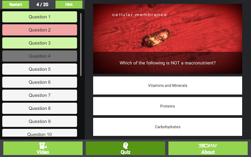 Oxidative Phosphorylation