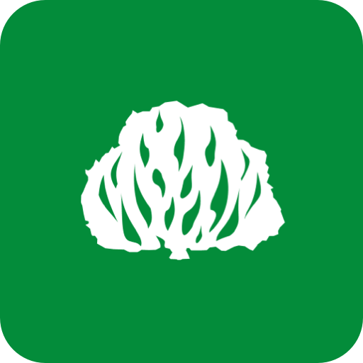 IP Limeira logo