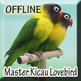 Master Kicau Burung Lovebird icon