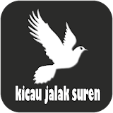 Kicau Jalak Suren icon