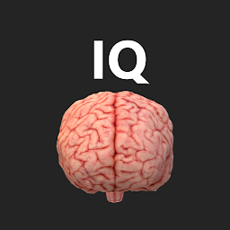 2023 Brain Challenge