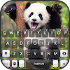 Happy Cute Panda Keyboard Back icon