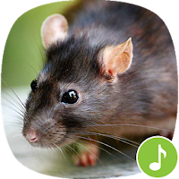Appp.io - мыши и крысы звуки