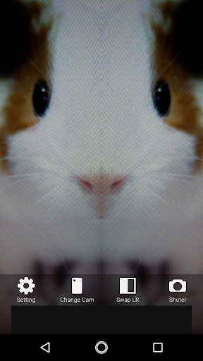 Symmetrical Camera Screen 2