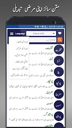 Offline Urdu Lughat  -  Urdu to Urdu Dictionary