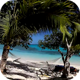 Sunny Beach Video Wallpaper icon