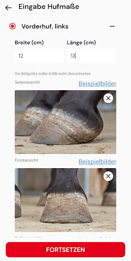 Hufschuhe Beratung