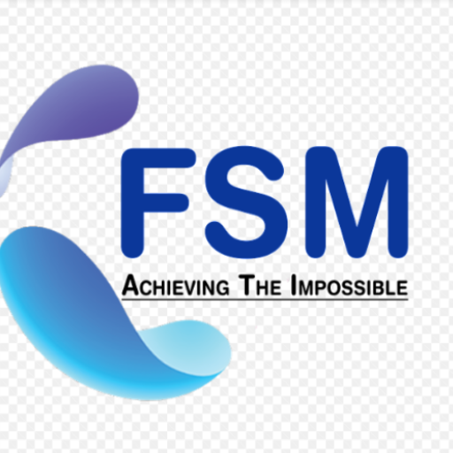 Fsm Global Solution Pvt Ltd logo