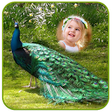 Peacock Photo Frames icon