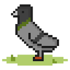Élevage de pigeons 3.0.32