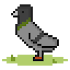 Pigeon Raising3.0.28