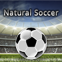 Natural Soccer icon