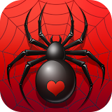 Spider Solitaire Card Game icon